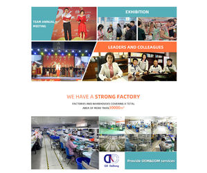 China Qingdao Dadong Electronics Co., Ltd.